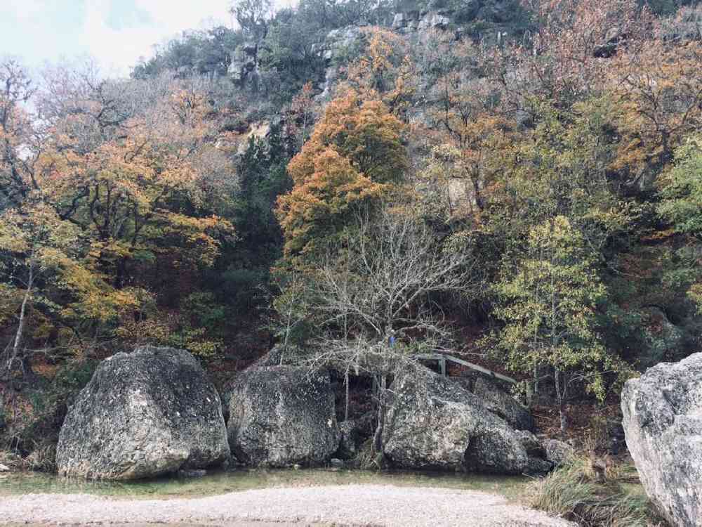 Nov. 7, 2018 Park Foliage Photo (maple trees with some red-orange leaves)