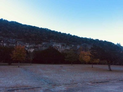 Nov. 14, 2018 Park Foliage Photo (more trees with different colored leaves)
