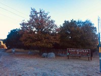 See a larger version of the fourth photo of the Nov. 14 foliage report;  taken on Nov. 14, 2018. 