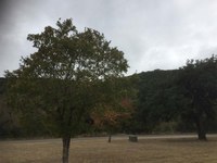 See a larger version of the first photo of the  Oct. 14, 2019 fall foliage report.