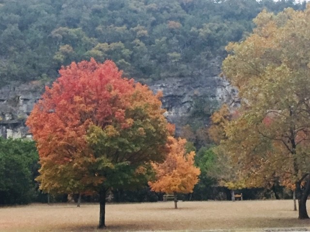 Lost Maples Fall Foliage Report Lost Maples State Natural Area 2019 Fall Foliage Report Archive — Texas  Parks & Wildlife Department