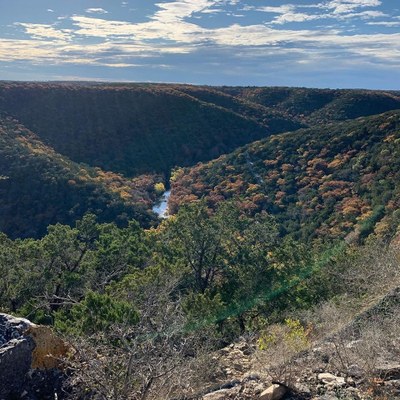 Nov. 26,  2019, photo 2 of maple trees at Lost Maples State Natural Area 