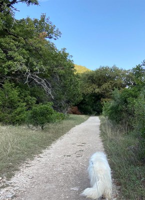 Lost Maples Foliage Report photo 1  (Oct. 8, 2020)