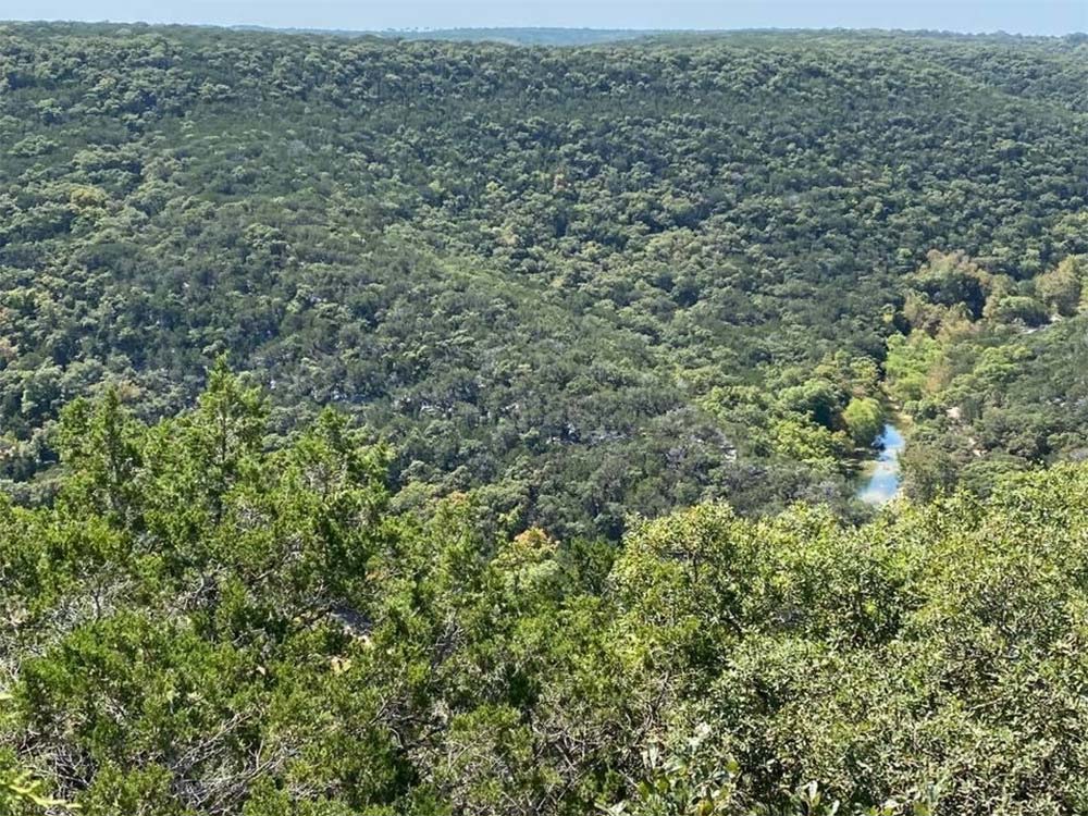 Lost Maples Foliage Report photo 2  (Oct. 8, 2020)