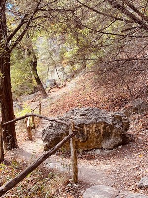 Lost Maples Foliage Report photo 2  (Oct. 22, 2020)