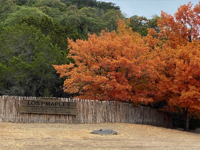 are dogs allowed at lost maples state natural area texas