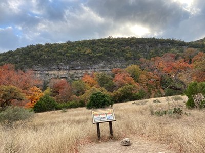 Lost Maples Foliage Report photo 3  (Nov. 12, 2020)