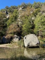 Water in foreground with a tree-covered cliff behind