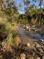 View up a creek 
