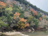 Hillside with a few colorful trees