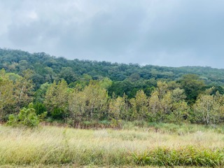 10-13-21 Image 3