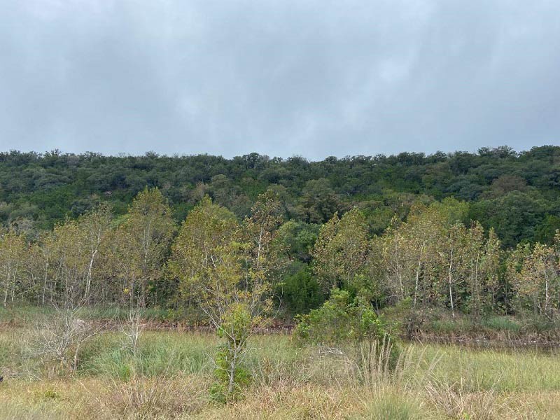10-20-21 Image 1