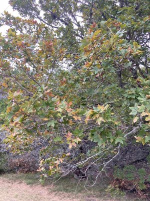 10-20-21 Image 4
