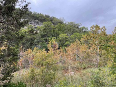 Fall Color 1 Oct 14 Report