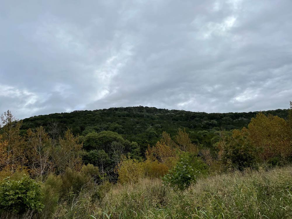 Fall Color 2 Oct 14 Report
