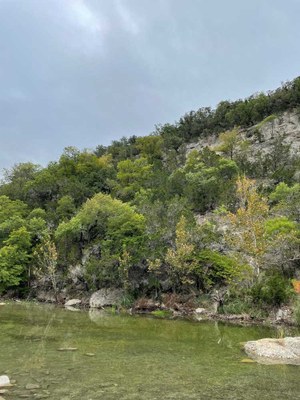 Fall Color 3 Oct 14 Report