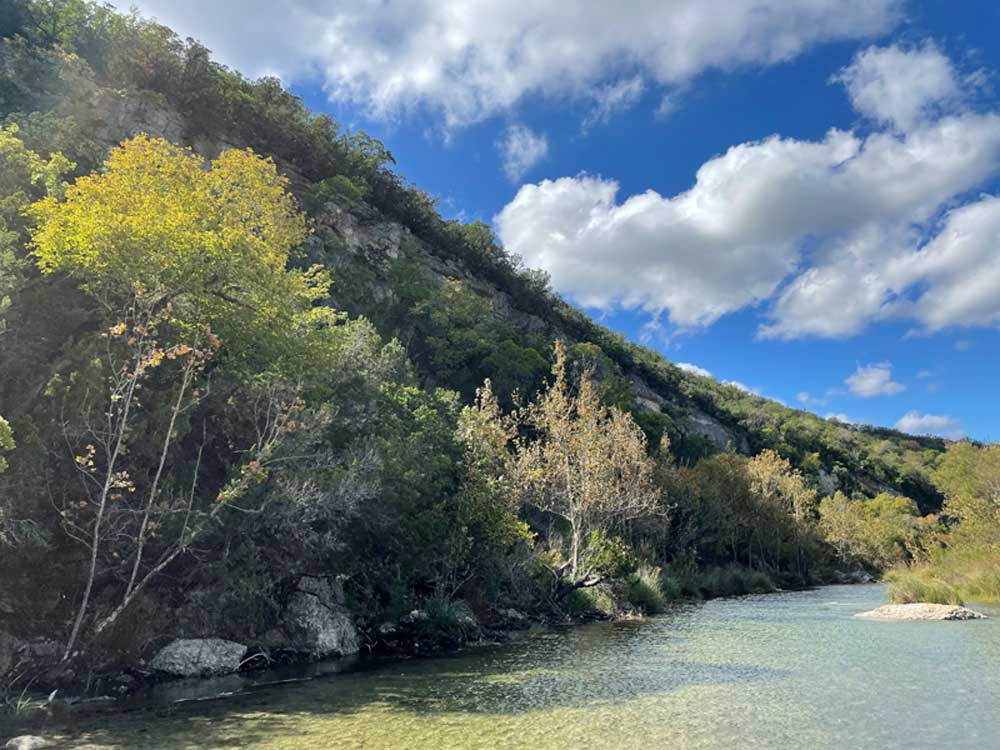 Fall Color 4 Oct 28 Report