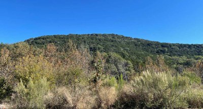 Fall Color 2 Oct 20 Report