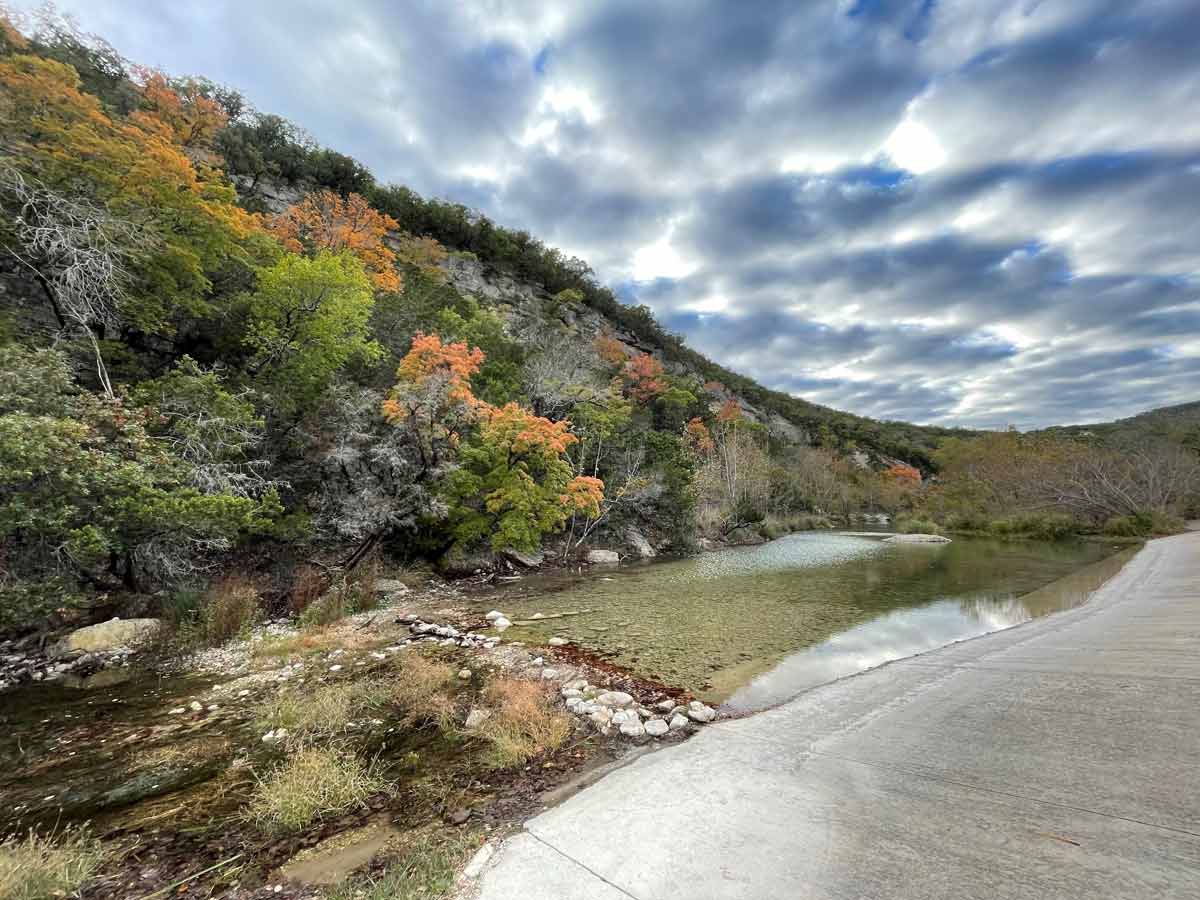 LM Foliage #1 10-18-22
