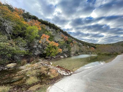 LM Foliage #1 10-18-22