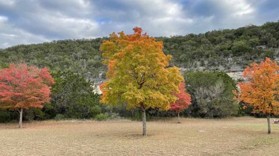LM Foliage #4 10-18-22