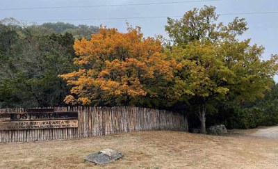 LM Foliage 4 11-25-22