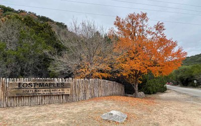 Park entrance with two maple trees, one with colorful leaves and the other mostly bare.