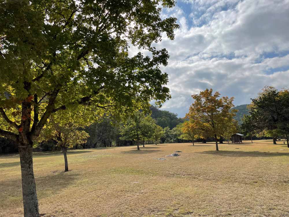LM Foliage 4 Nov 4 Report