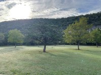 Large open area with some green trees