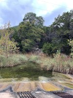 view across small retention pond of foliage with slight color