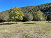 Several trees showing green leaves.