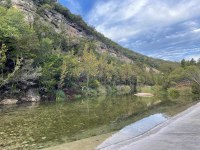 Bank of river showing green foliage