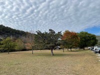 Trees with changing leaves