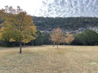 Trees with changing leaves