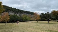 Open area with a few trees with color