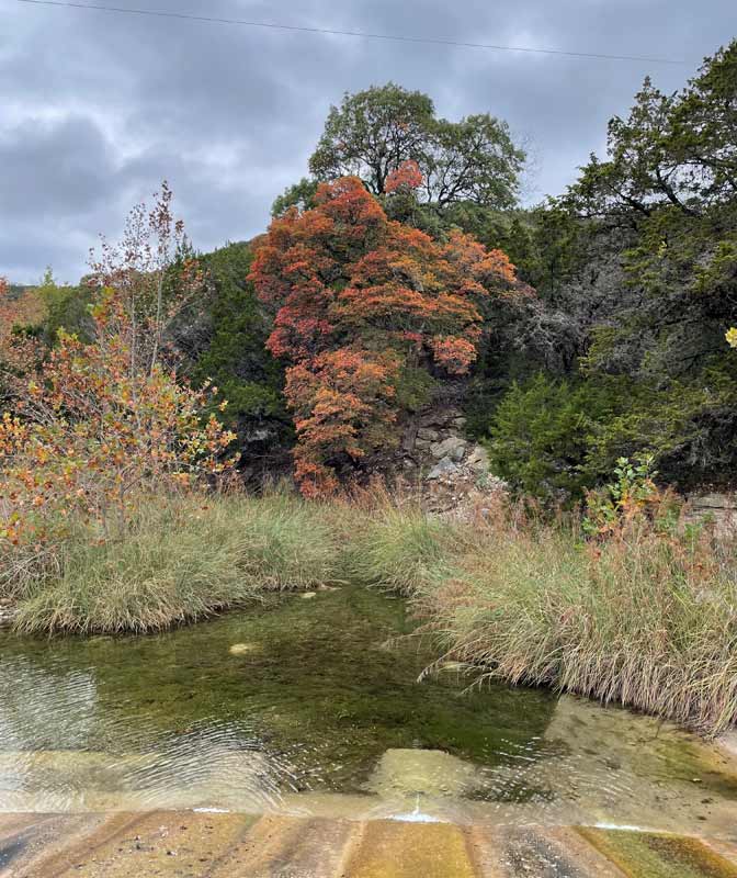 LM-Foliage-111023_4.jpg