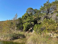 Hillside covered in trees