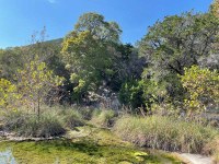Hillside behind waterway with leaves starting to turn a bit yellow