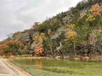 Fall foliage