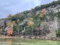 Fall foliage