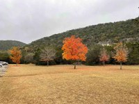Fall foliage