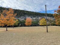 Fall foliage