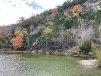 Fall foliage