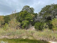 Hillside beside stream with no color.