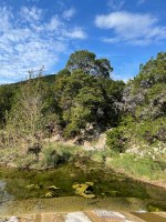 LM-1-10-24-25.jpg Hillside view