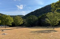 LM-2-10-24-25.jpg Day-use area with brown grass and green maple trees