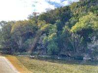 LM-3-10-24-25.jpg Roadside trees, still green