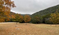 LM-11-14-25-2.jpg Dayt use area with colorful maple trees