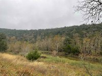 Hillside view with very little fall color