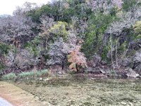 Hillside with a bit of late fall color,
